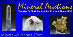Click to visit mineral-auctions.com